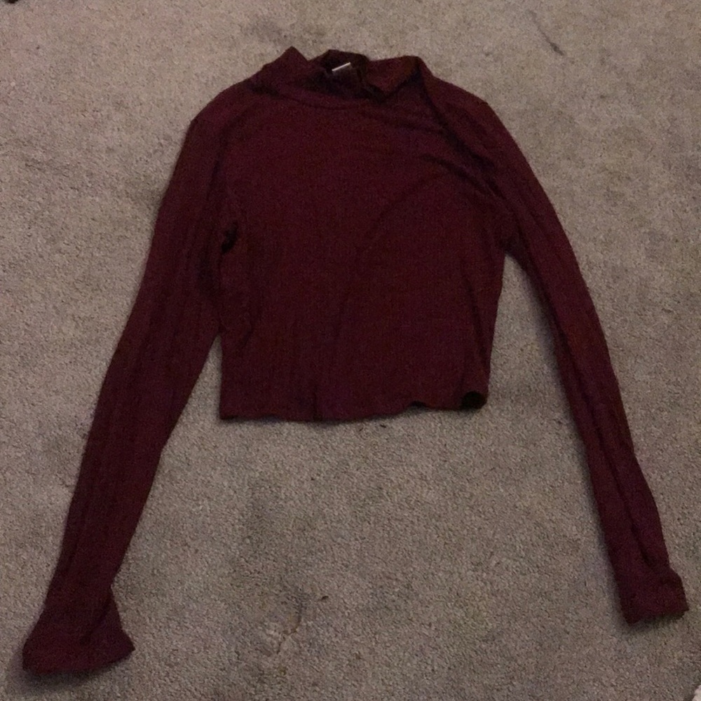 A crop top long sleeve, turtle neck shirt